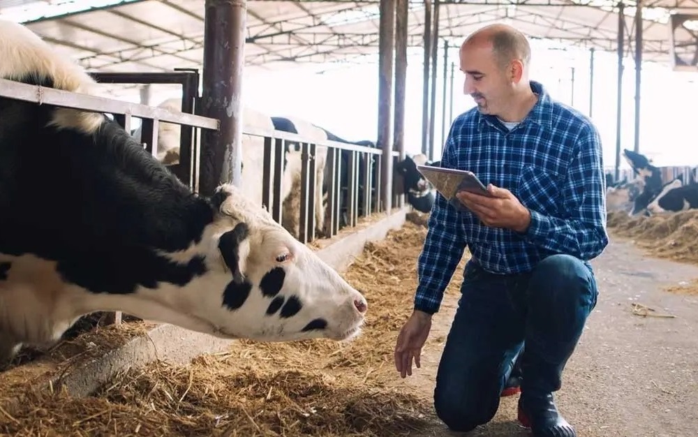 TAP Feed - online platforma Feedmanagement Hero Img1