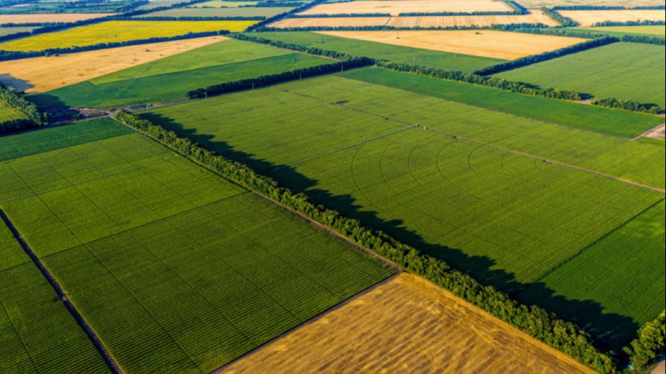 Farm Land Photo Cred Adobe Stock E